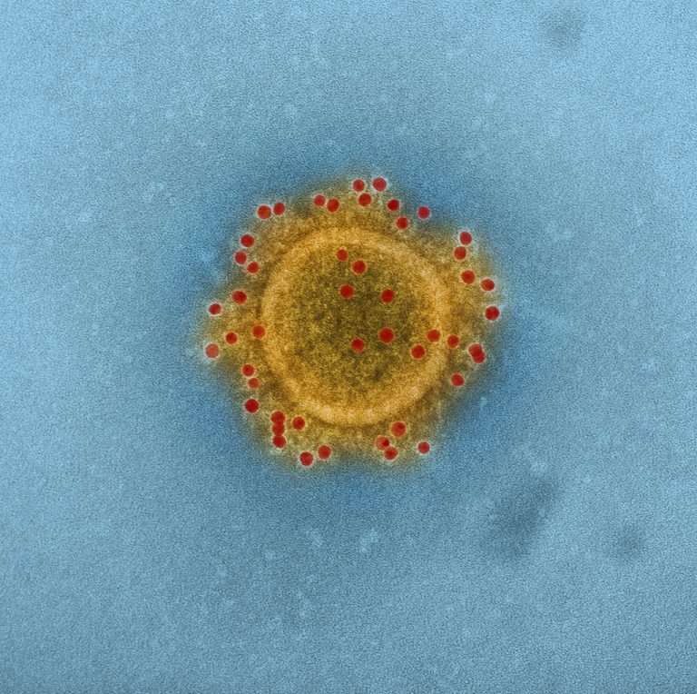 Novel Coronavirus