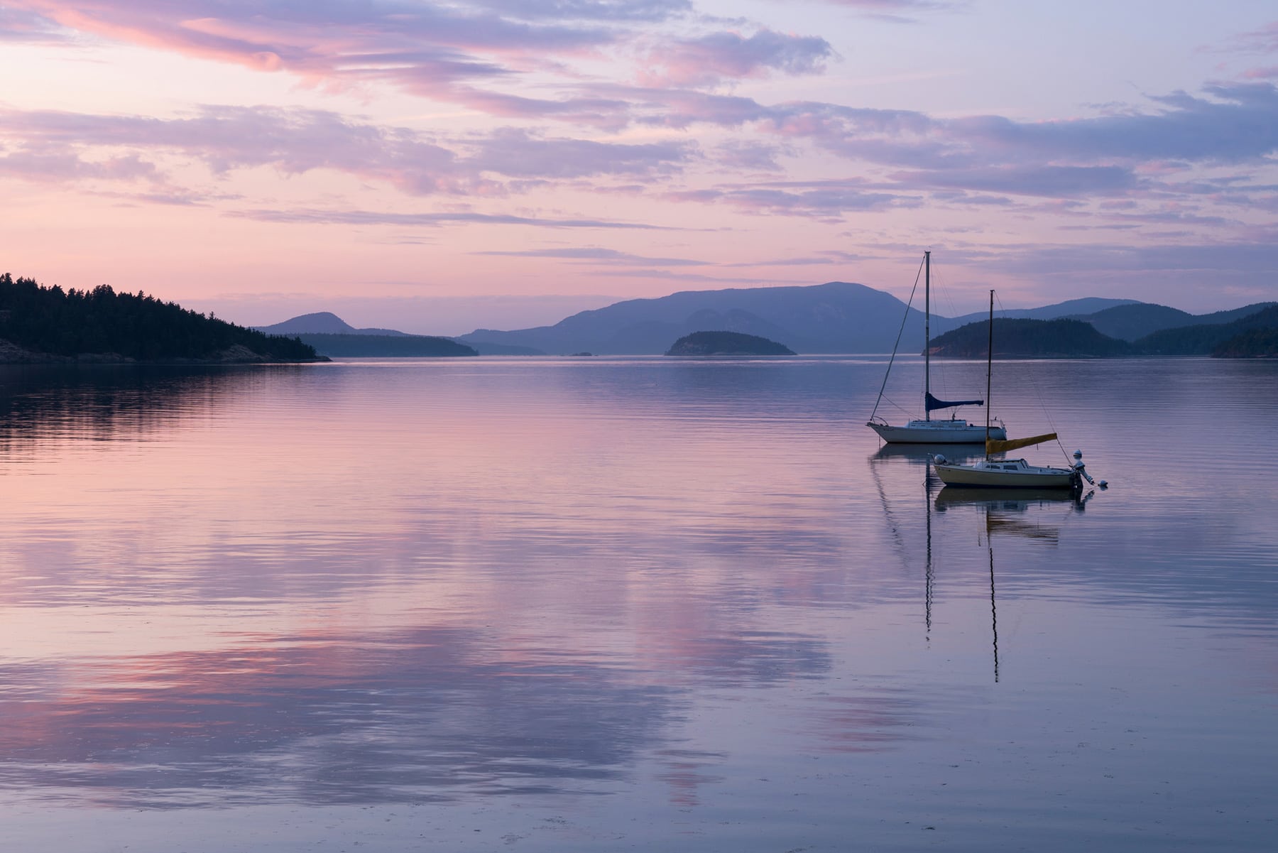 SJI Sailboats Sunset