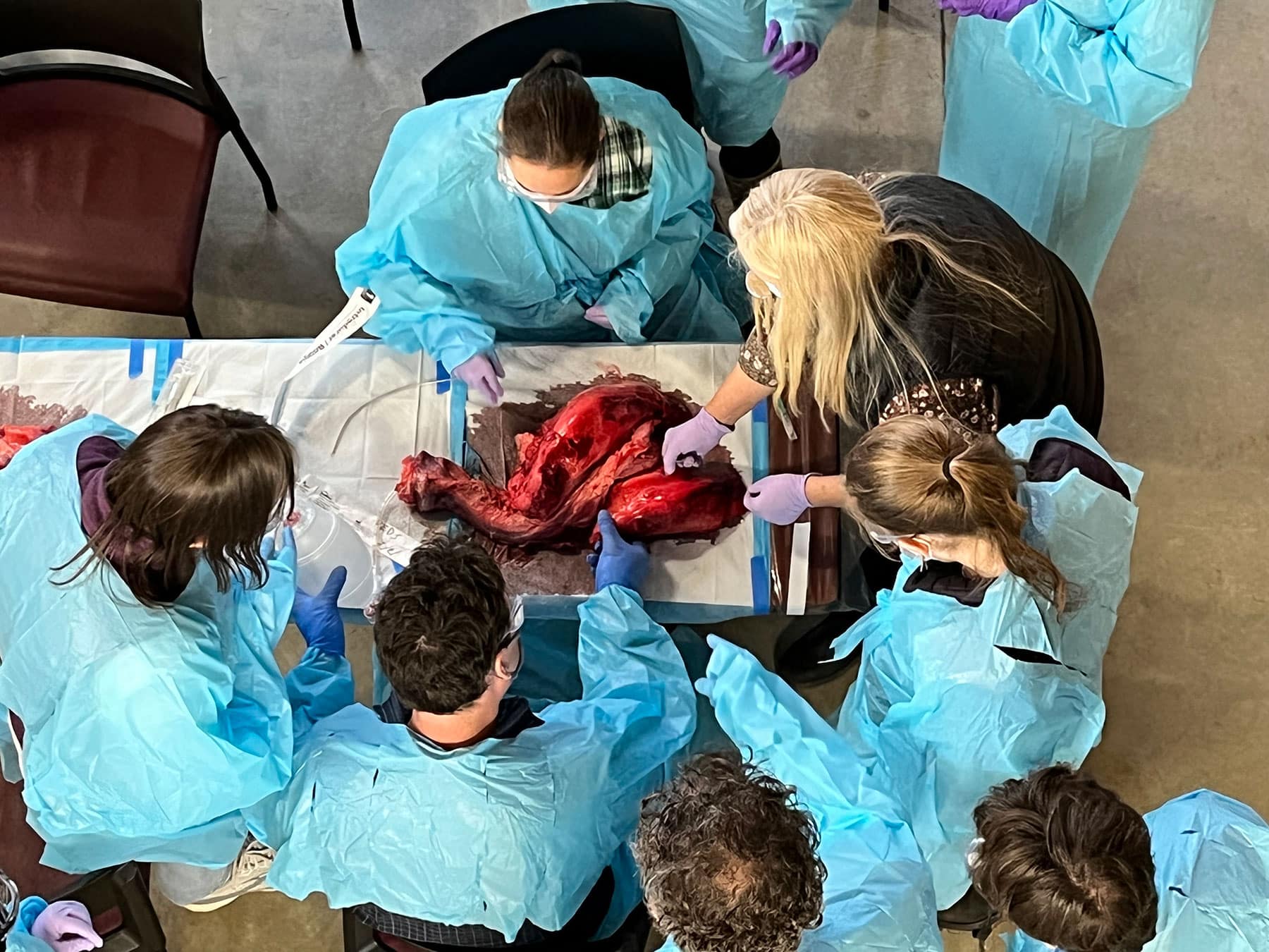 EMT Training - Dissection