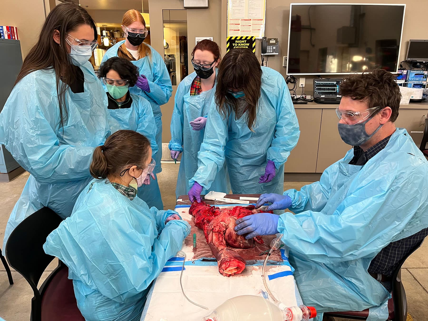 EMT Training - Dissection