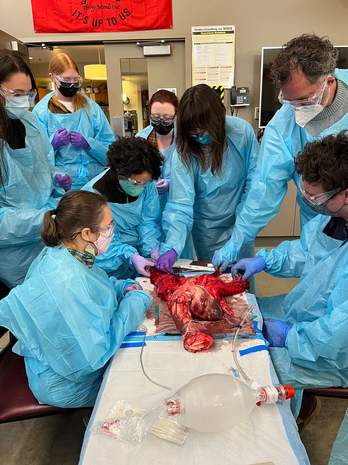 EMT Training - Dissection