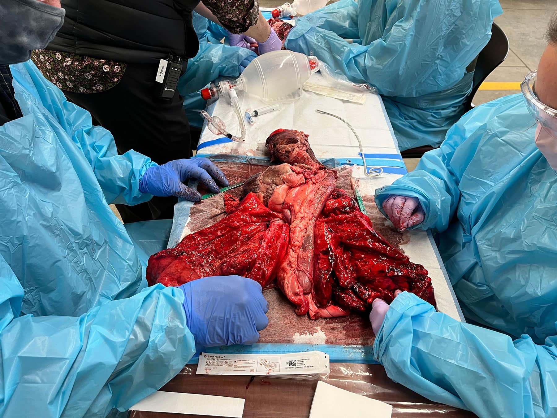 EMT Training - Dissection